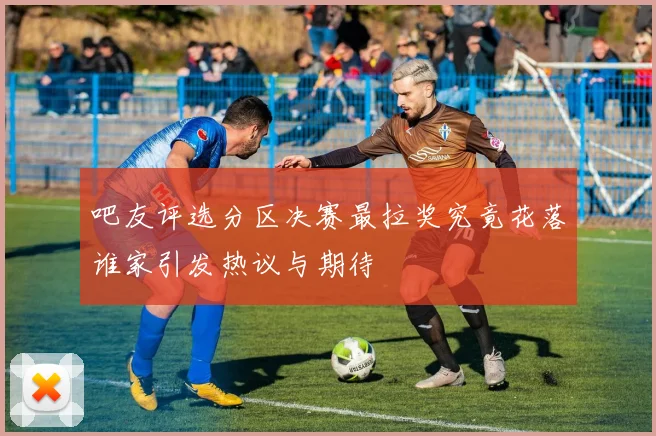 吧友评选分区决赛最拉奖究竟花落谁家引发热议与期待