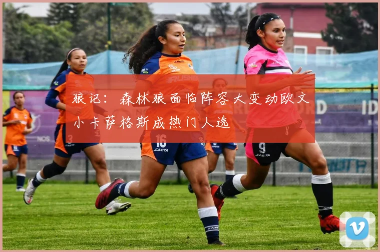 狼记：森林狼面临阵容大变动欧文小卡萨格斯成热门人选