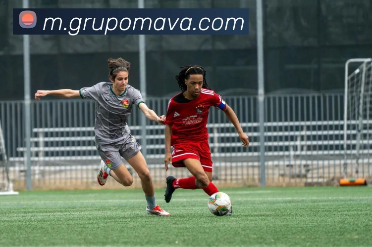 MKSports官方网站入口发展历程